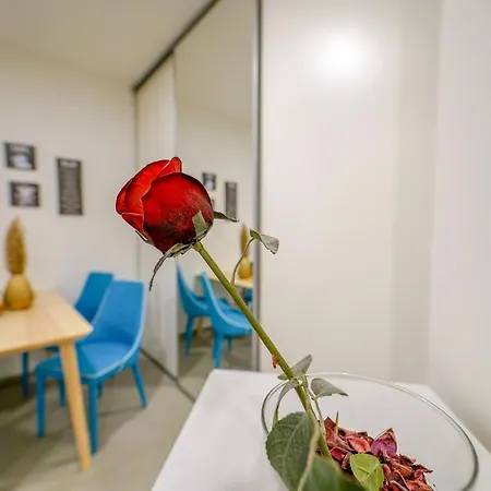 Vesna Convenient By Chors *